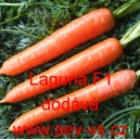 Mrkev obecn&aacute; hybridn&iacute; Laguna F1