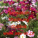 Kr&aacute;senka zpeřen&aacute; Sensation Mischung