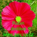 Kr&aacute;senka zpeřen&aacute; Rubin