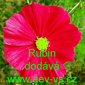 Kr&aacute;senka zpeřen&aacute; Rubin