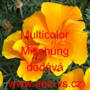 Sluncovka kalifornsk&aacute;, kalifornsk&yacute; m&aacute;k Multicolor Mischung