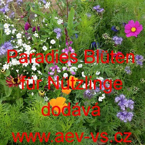 Paradies Bl&uuml;ten f&uuml;r N&uuml;tzlinge