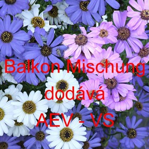 V&scaron;elicha &scaron;těničn&iacute;kolist&aacute;, iberkolist&aacute; Balkon Mischung