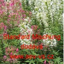 Lu&scaron;těnice trnit&aacute; Standard Mischung