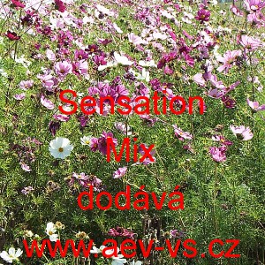 Kr&aacute;senka zpeřen&aacute; Sensation Mix