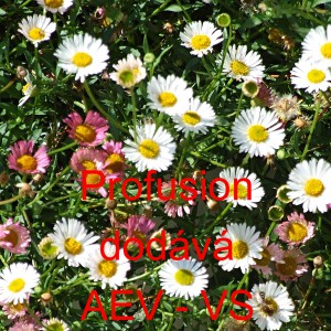 Turan Karvinsk&eacute;ho Profusion