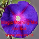 Pov&iacute;jnice nachov&aacute; Magic Morning Mix