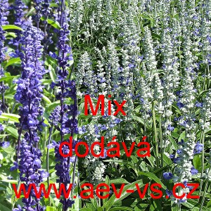 &Scaron;alvěj pomoučen&aacute; Mix