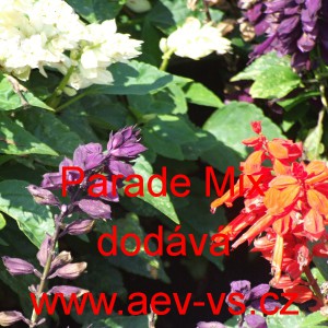 &Scaron;alvěj z&aacute;řiv&aacute; Parade Mix