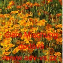 Aksamitn&iacute;k jemnolist&yacute; Gem Mischung