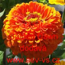 Ost&aacute;lka sličn&aacute;, lep&aacute; Giant Golden Dawn