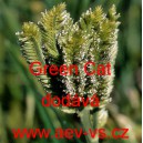 Kalužnice křivoklas&aacute;