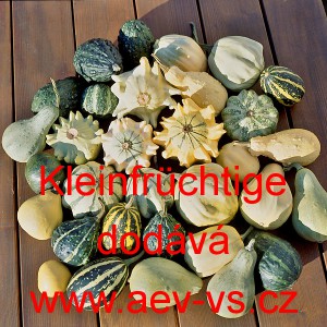 Okrasn&aacute; tykev Kleinfr&uuml;chtige