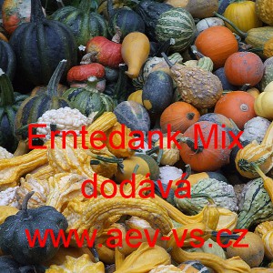 Okrasn&aacute; tykev Erntedank Mix