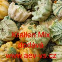 Okrasn&aacute; tykev Krallen Mix