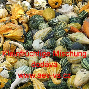 Okrasn&aacute; tykev Kleinmischung