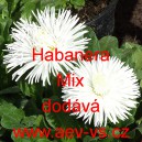 Sedmikr&aacute;ska obecn&aacute; Habanera Mix