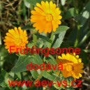 Měs&iacute;ček roln&iacute; Fr&uuml;hlingsonne