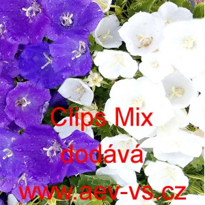 Zvonek karpatsk&yacute; Clips Mix