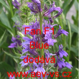 Lobelka n&aacute;dhern&aacute; Starship F1 Blue