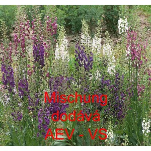 Divizna brun&aacute;tn&aacute; Mischung