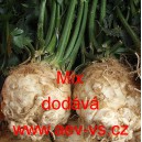 Celer bulvov&yacute; Mix