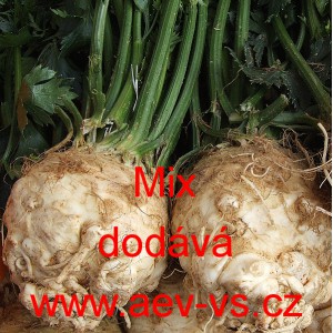 Celer bulvov&yacute; Mix