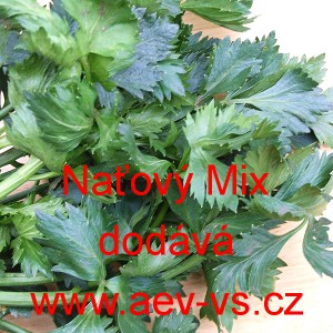Celer naťov&yacute; Mix