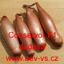 Cibule &scaron;alotka hybridn&iacute; Conservor F1