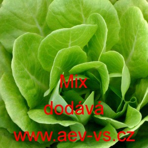 Č&iacute;nsk&eacute; zel&iacute; Mix