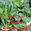 Č&iacute;nsk&eacute; zel&iacute; Pak Choi