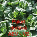 Č&iacute;nsk&eacute; zel&iacute; Paket