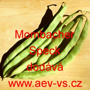 Fazol tyčkov&yacute; Mombacher Speck