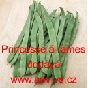 Fazol tyčkov&yacute; Princesse &aacute; rames