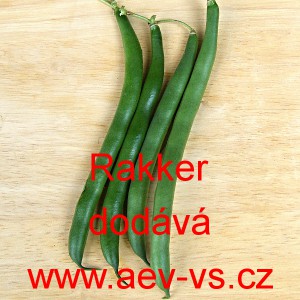 Fazol tyčkov&yacute; Rakker