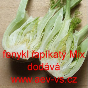 Fenykl obecn&yacute; řap&iacute;kat&yacute; Mix