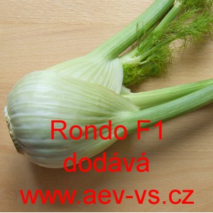 Fenykl obecn&yacute; řap&iacute;kat&yacute; hybridn&iacute; Rondo F1