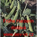 Hr&aacute;ch set&yacute; k vylupov&aacute;n&iacute; Fr&uuml;he Harzerin