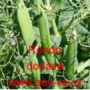 Hr&aacute;ch set&yacute; dřeňov&yacute; Rondo