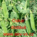 Hr&aacute;ch set&yacute; dřeňov&yacute; Oskar