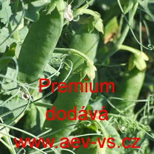 Hr&aacute;ch set&yacute; dřeňov&yacute; Premium