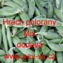 Hr&aacute;ch set&yacute; dřeňov&yacute; poloran&yacute; Mix