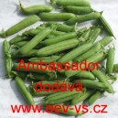 Hr&aacute;ch set&yacute; dřeňov&yacute; Ambassador