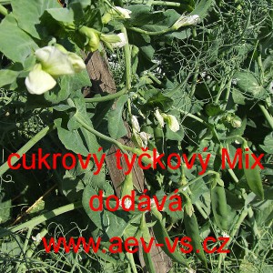 Hr&aacute;ch set&yacute; cukrov&yacute; tyčkov&yacute; Mix