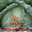 Kapusta hl&aacute;vkov&aacute; pozdn&iacute; Mix