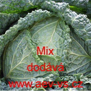 Kapusta hl&aacute;vkov&aacute; pozdn&iacute; Mix
