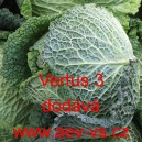 Kapusta hl&aacute;vkov&aacute; Vertus 3