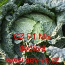 Kapusta hl&aacute;vkov&aacute; hybridn&iacute; pozdn&iacute; CZ F1 Mix