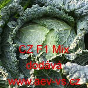 Kapusta hl&aacute;vkov&aacute; hybridn&iacute; pozdn&iacute; CZ F1 Mix
