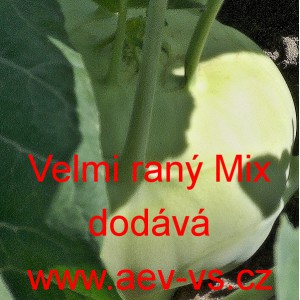 Kedluben b&iacute;l&yacute; velmi ran&yacute; - ran&yacute; Mix